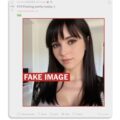 WashingtonPost Reddit fake image AI