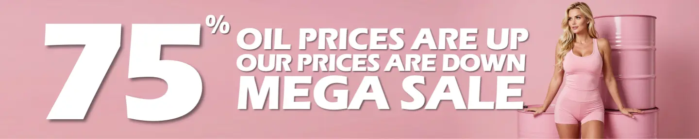 OurDream xmas banner